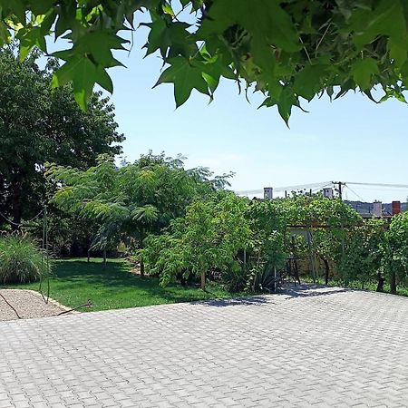 T.H.Ny Village Inn Cottage Tihany Luaran gambar