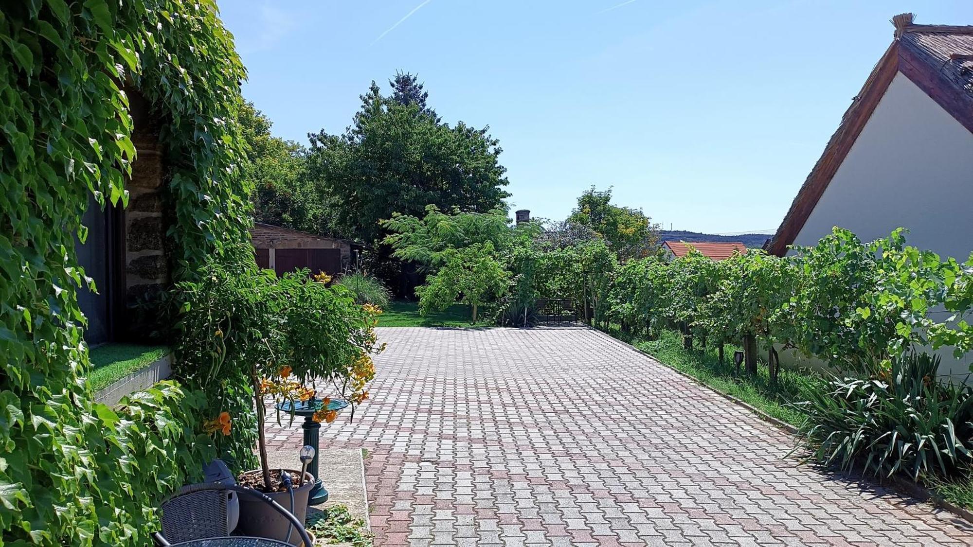 T.H.Ny Village Inn Cottage Tihany Luaran gambar